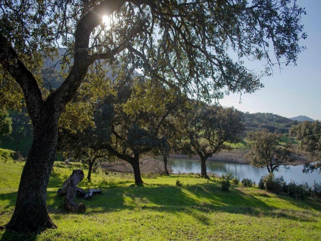 Finca La Vicacaria Limonero Zufre Exteriör bild