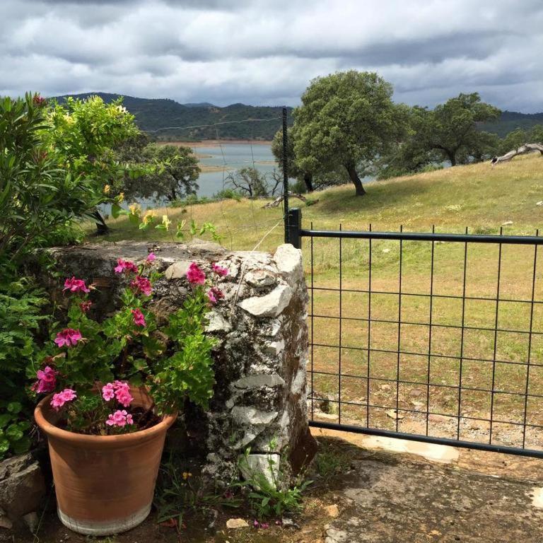 Finca La Vicacaria Limonero Zufre Exteriör bild